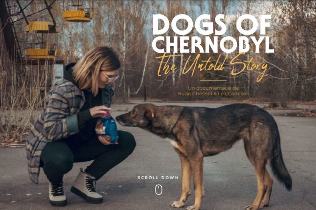 Coup de cœur : “Dogs of Chernobyl : The Untold Story”.