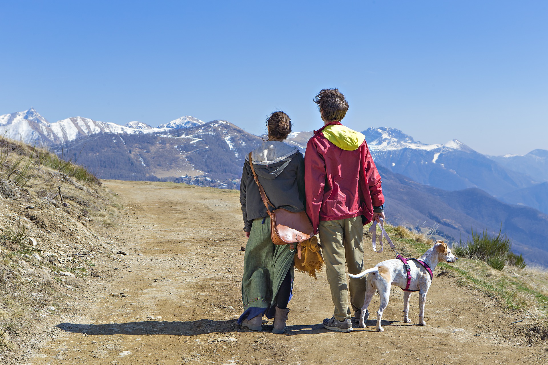 Partir avec son chien en vacances : quid des moyens de transport?
