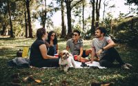Les espaces canins en ville
