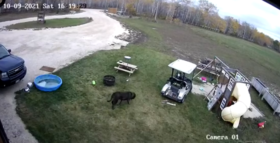 Pas de chance pour Titan qui va créer un accident.