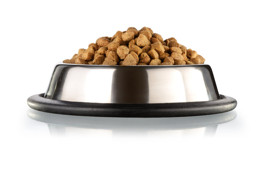 gamelle de croquettes pour chien