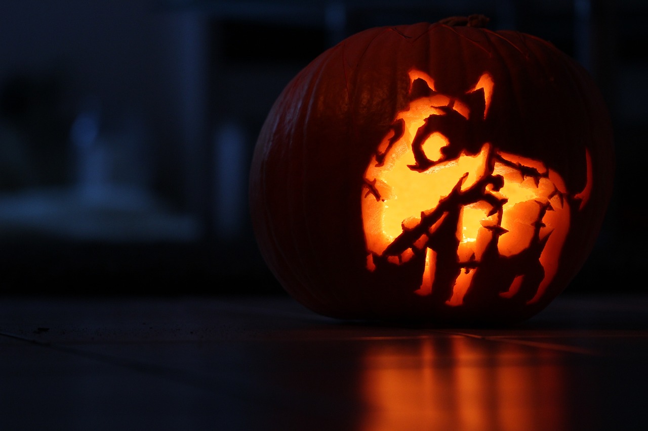 Costumes d’Halloween pour chien : le top 3 des déguisements.