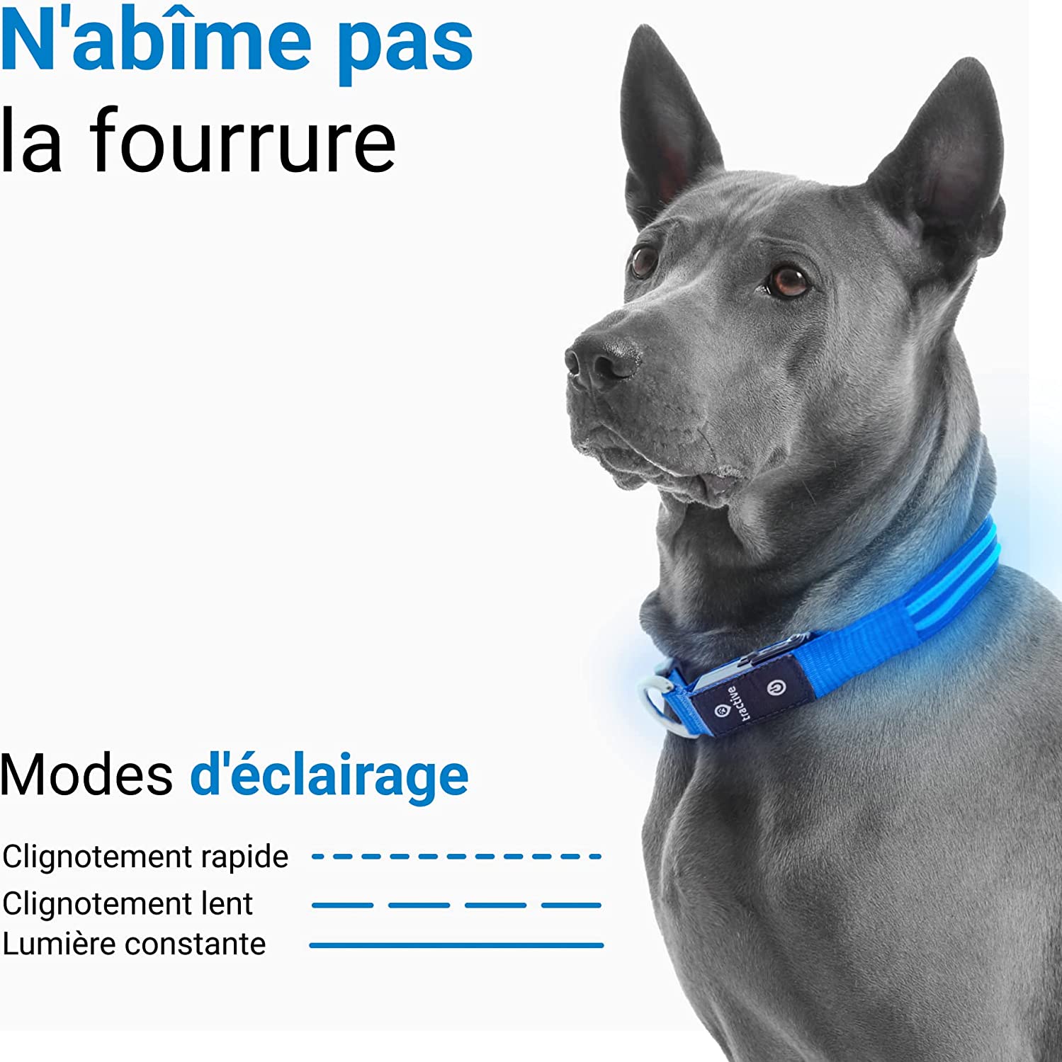 Collier lumineux Tractive