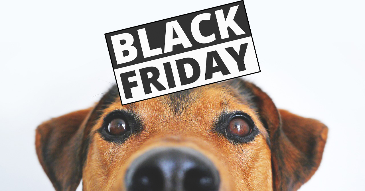 Les meilleurs prix du Black Friday 2022 pour votre chien