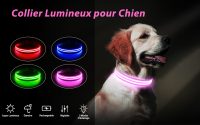 les colliers lumineux pour chiens