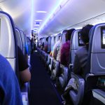 chien voyage avion