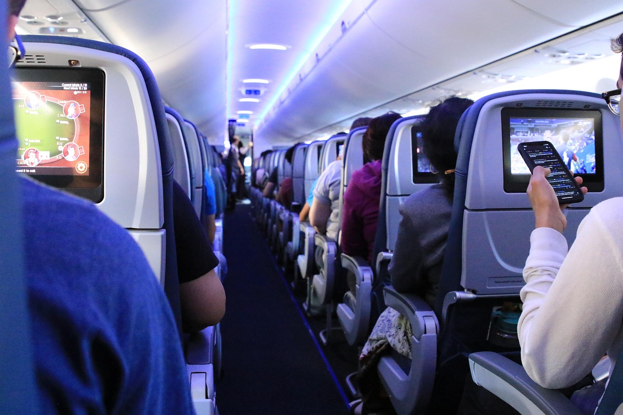 chien voyage avion