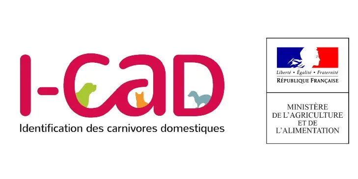 i-cad