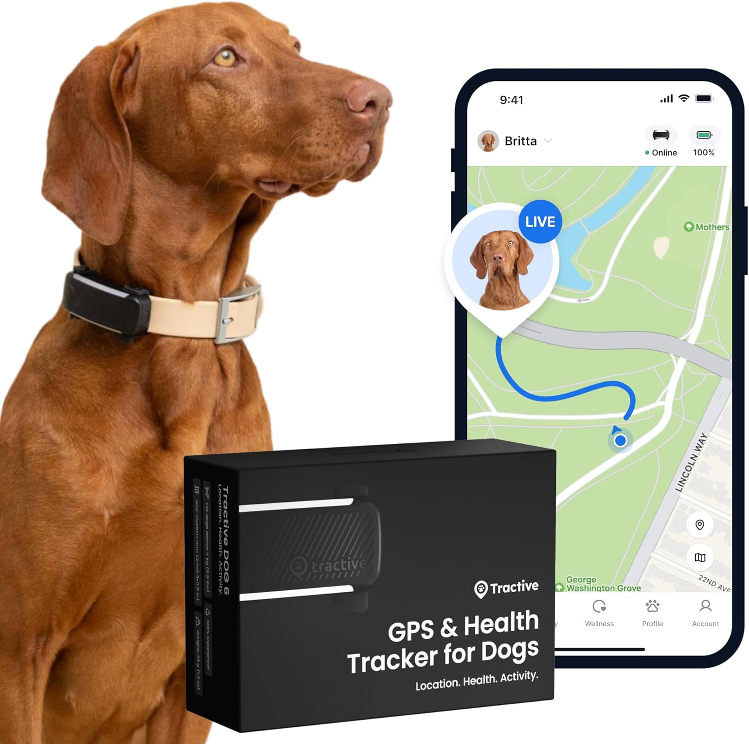 Tractive : le collier GPS pour chien qui allie sécurité, santé et innovation à prix fou pour les Prime Day