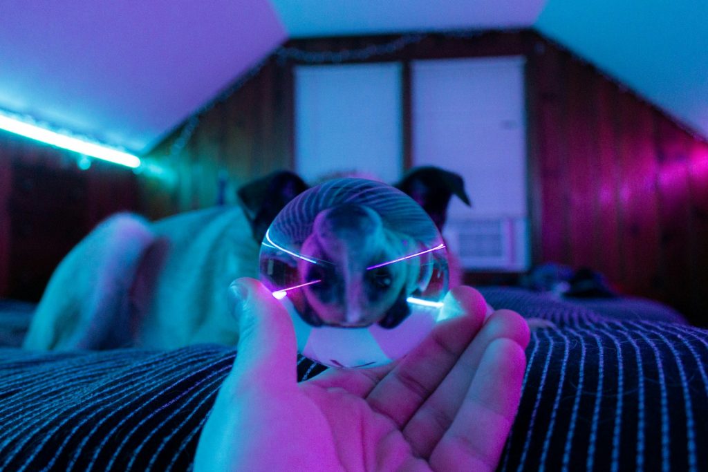 person holding silver framed eyeglasses