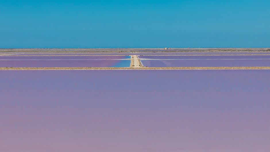 Beauduc à Saintes-Maries-de-la-Mer : la plage camarguaise où les chiens sont les bienvenus toute l’année