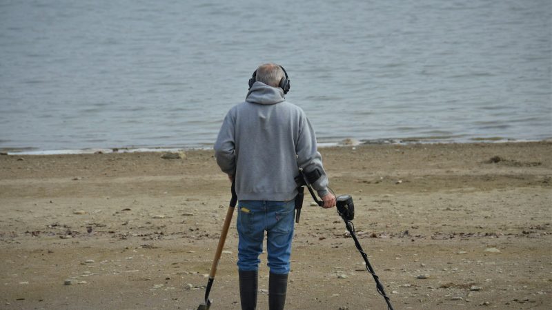 Quand le flair rencontre le bip : chiens et détecteurs, une équipe qui change la donne