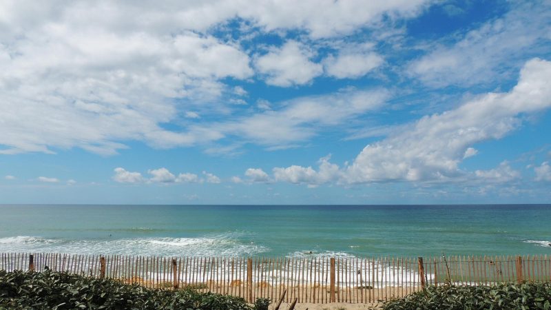Lacanau avec son chien : plages, règles et spots à ne pas manquer
