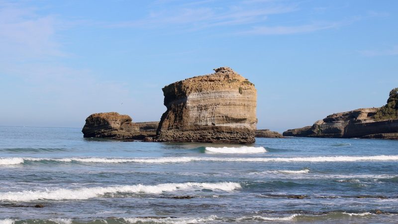 Biarritz avec votre chien : plages, horaires et bons plans pour des sorties sereines