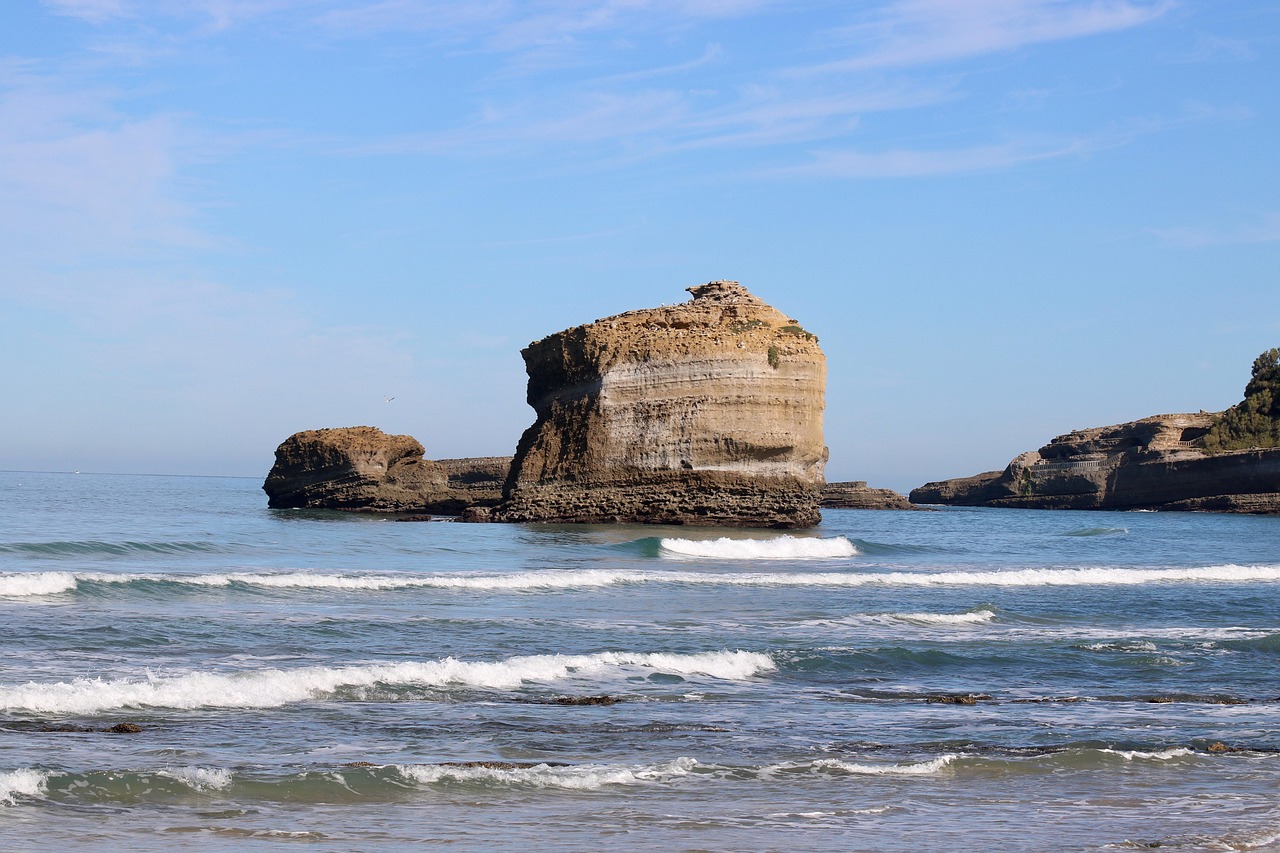 Biarritz avec votre chien : plages, horaires et bons plans pour des sorties sereines