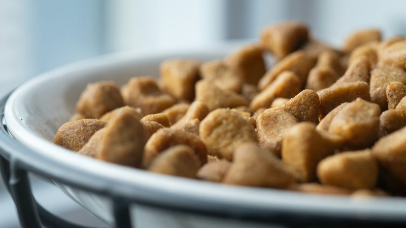 Pourquoi faire le choix des croquettes de volaille pour votre chien?