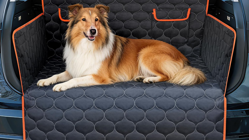 Protection de coffre JOEJOY pour chien : notre avis avant d’investir