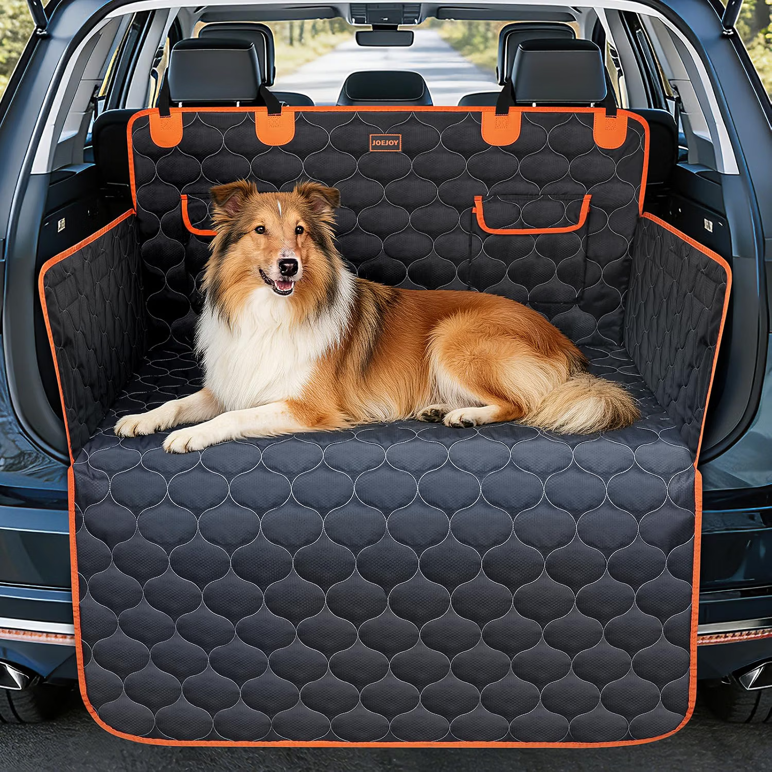 Protection de coffre JOEJOY pour chien : notre avis avant d’investir