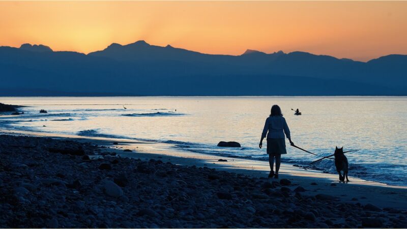 Silhouette d'une personne promenant son chien en laisse au crépuscule sur une plage
