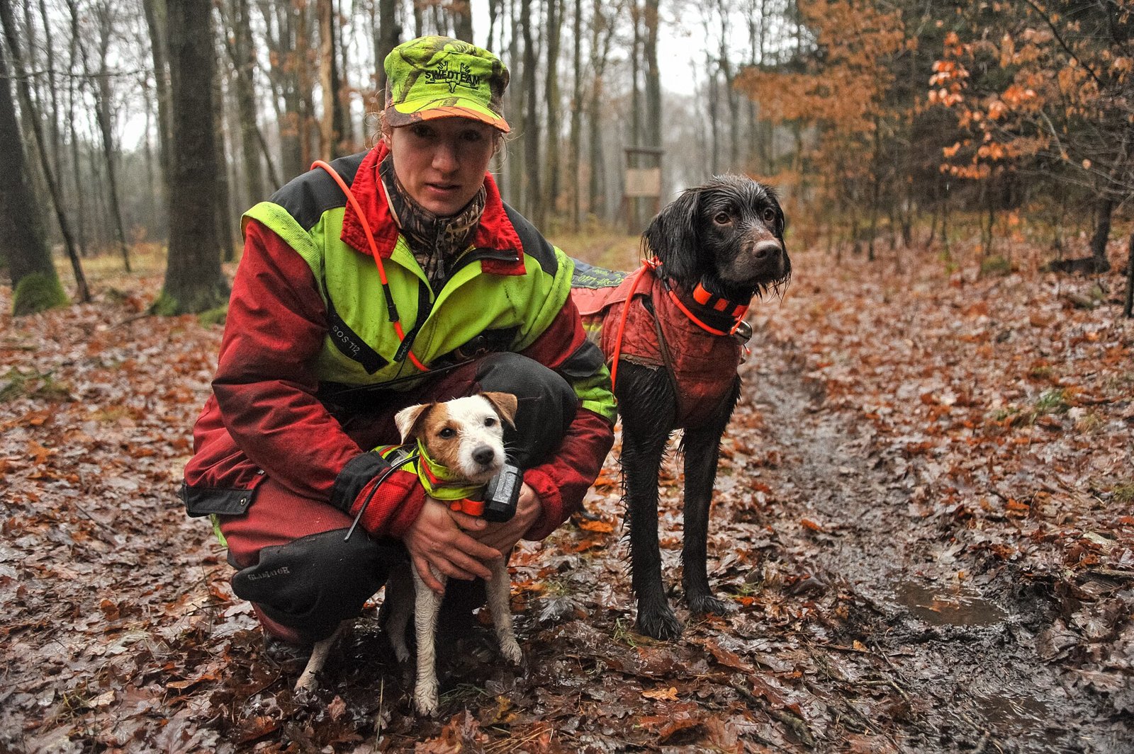 Promener son chien pendant la saison de chasse : gilet orange, horaires et bons réflexes