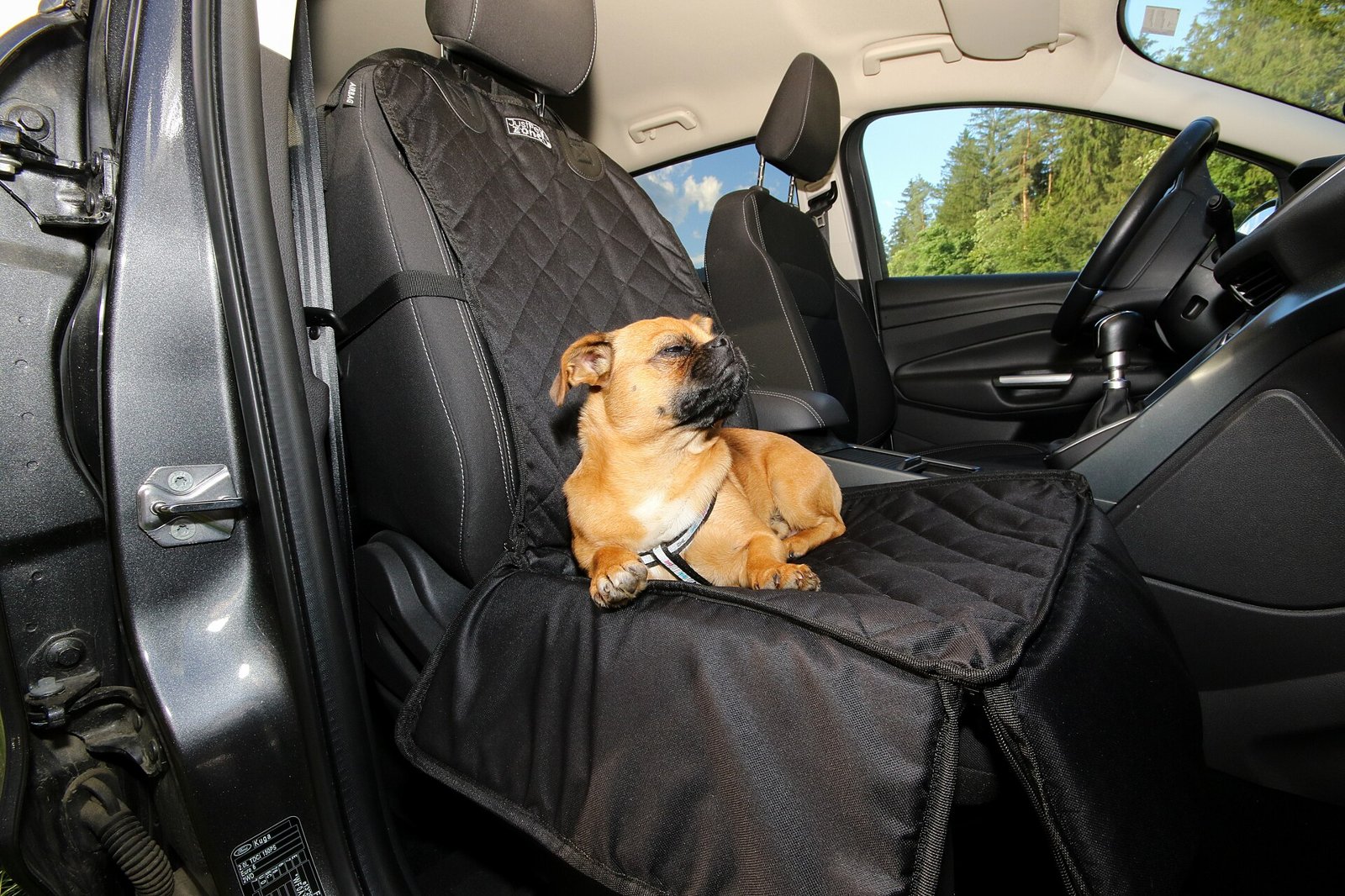 Transporter son chien en voiture : harnais de sécurité, caisse ou grille de séparation, que choisir ?