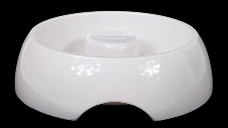 Gamelle anti-glouton blanche en céramique avec des reliefs au fond, sur fond noir