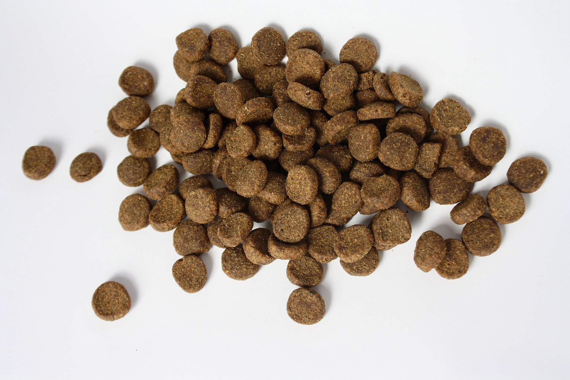 Croquettes pour chien : comment lire l’étiquette et repérer un bon aliment