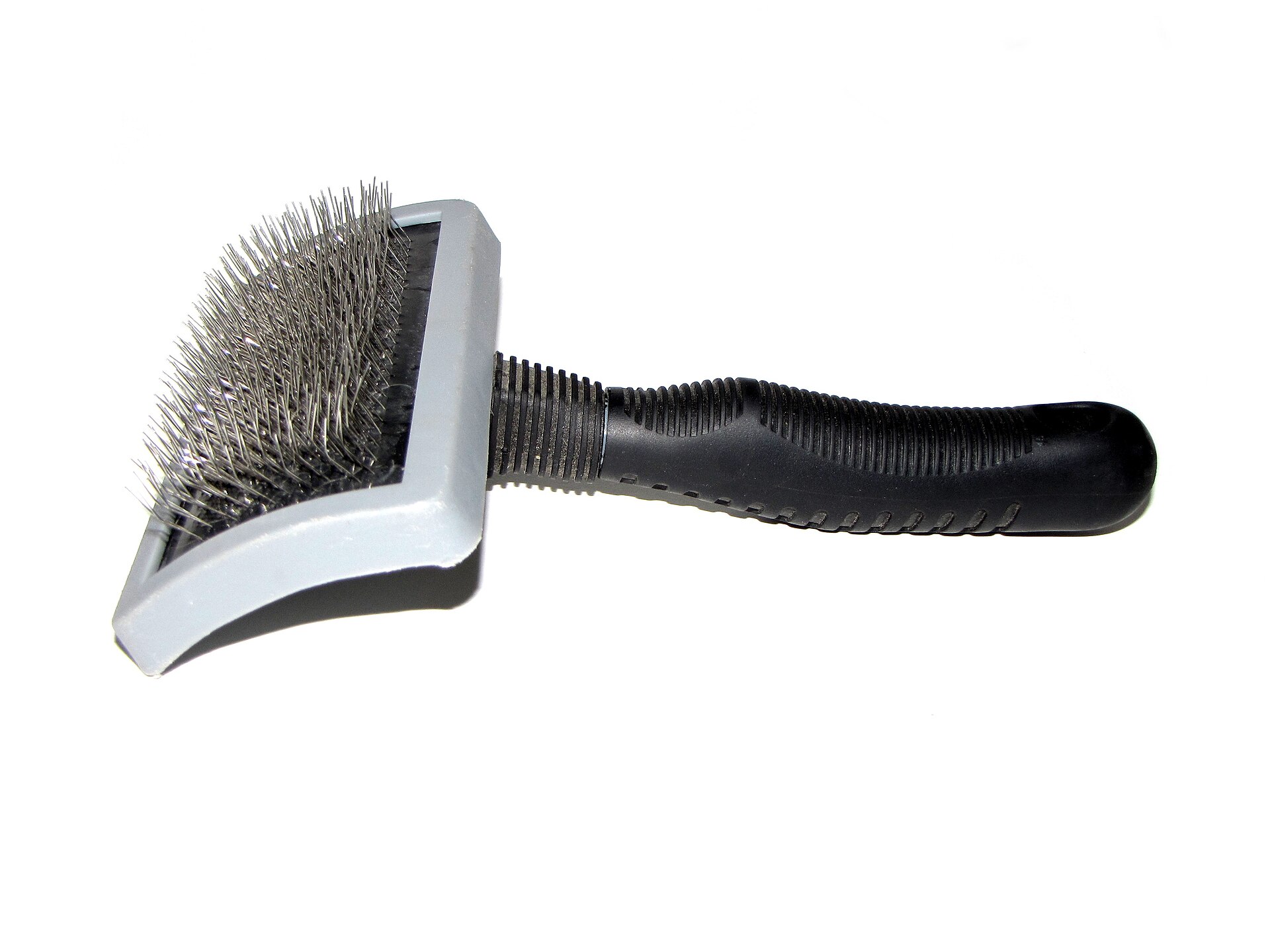 Quelle brosse pour son chien ? Le bon outil selon le type de poil et la saison
